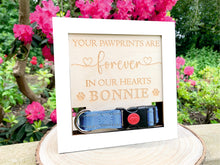 Load image into Gallery viewer, Personalised Dog Collar Memorial Frame - Next Day Delivery Available