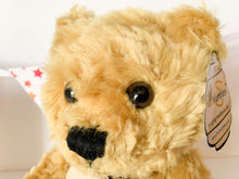 Load image into Gallery viewer, Personalised Birthday Mumbles Teddy Bear
